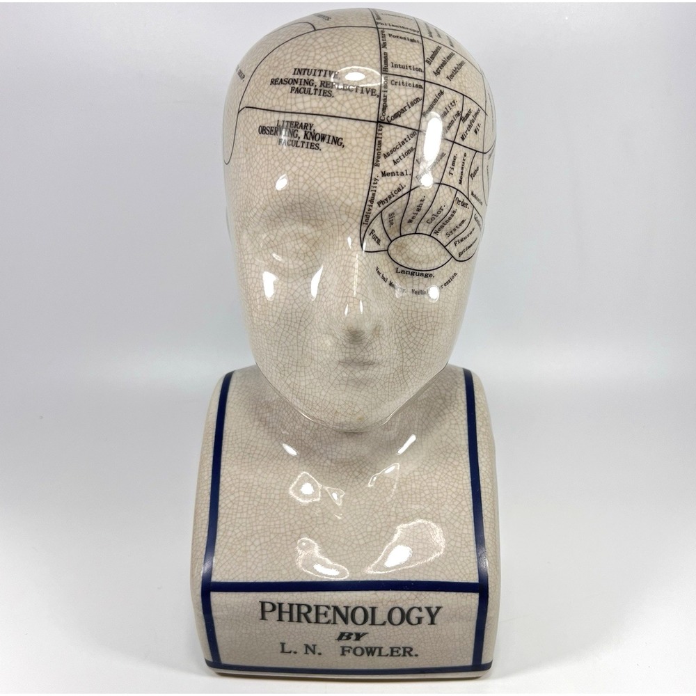 Three Hands Corp L.N. Fowler Phrenology Head Bust XL 11" Ceramic Crackle Glaze